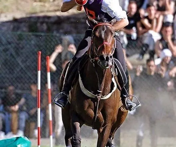 San Francesco * Acquasparta